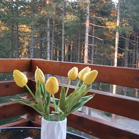 Apartman Prima Zlatibor Exterior photo